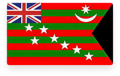 The Home Rule Flag